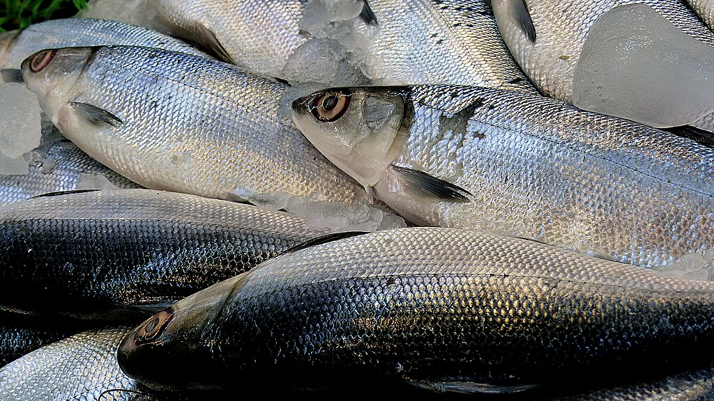 A pile of fresh silver fish on crushed ice at a market. The fish have shiny scales and prominent eyes, creating a sense of abundance and freshness.