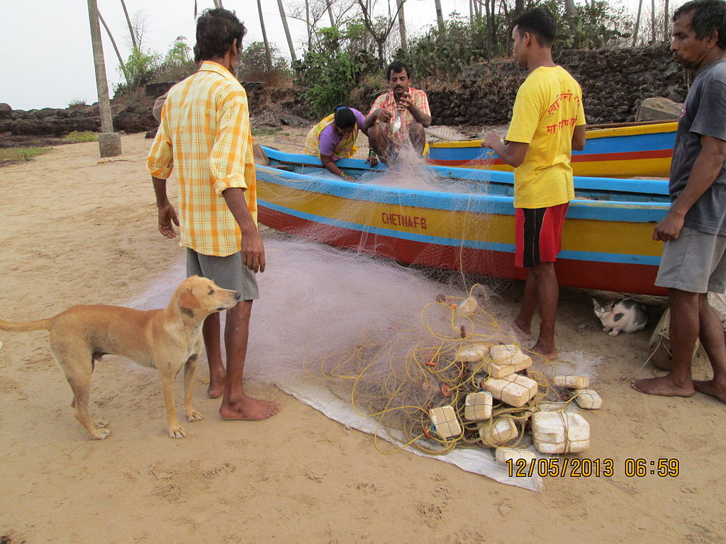 Five men are standing by a colorful boat on a sandy beach, sorting fishing nets. A dog and a cat are nearby, creating a lively, collaborative scene.