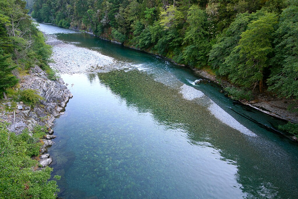A tranquil river flows through a lush forest, with clear water reflecting the greenery. Rocky banks and pebbled riverbed add texture, creating a serene landscape.