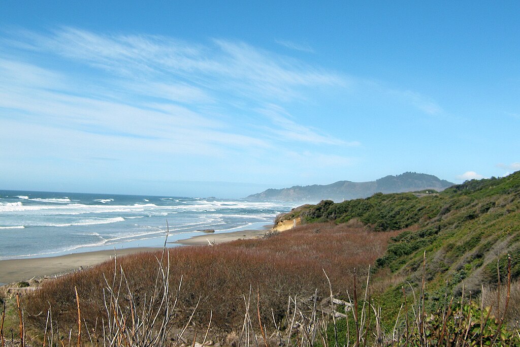 Coastal landscape with a sandy beach, gentle waves, and distant hills under a clear blue sky. Foreground shows bushes and grass, evoking tranquility.