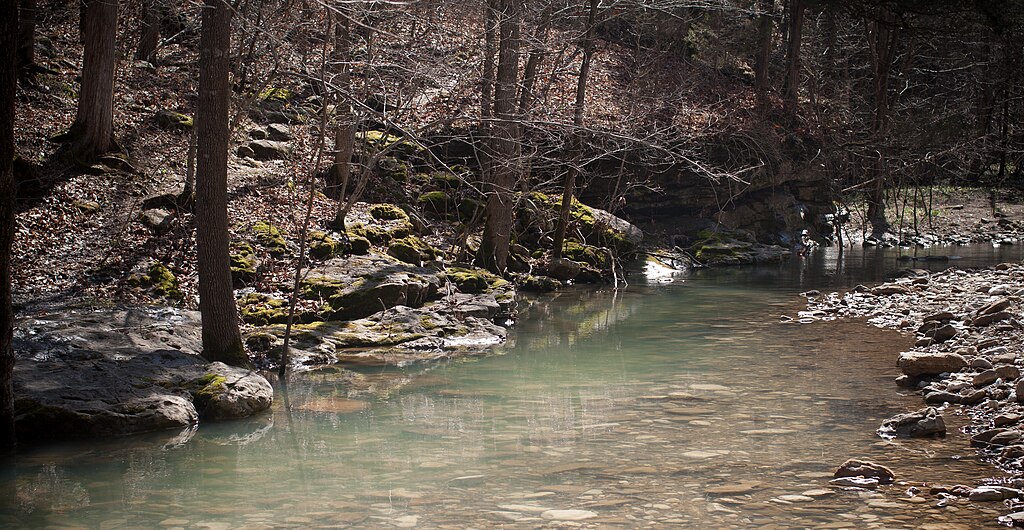 A serene forest stream flows gently, bordered by moss-covered rocks and bare trees. Sunlight filters through, reflecting softly on the water. Tranquil scene.