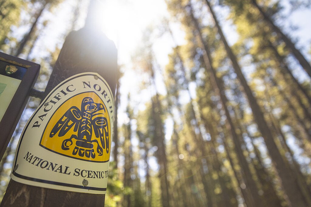 The sun flares through the forest behind a wooden post with a Pacific Northwest Trail emblem on it. This iconic trail crosses through the northern portion of Glacier National Park.