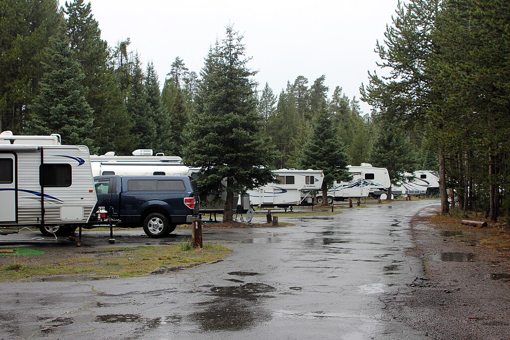 Wet campground with several RVs parked along a tree-lined road in a forested area. Overcast skies and puddles create a calm, serene atmosphere.
