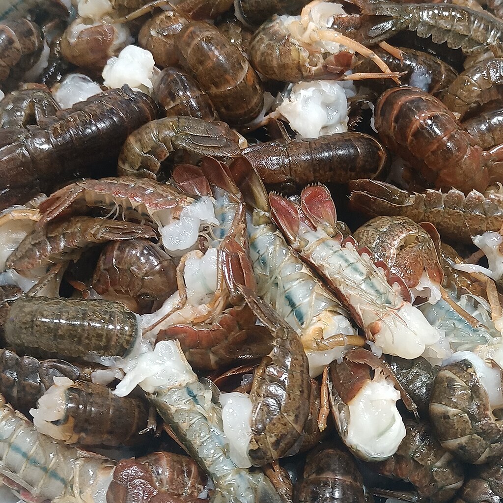 Close-up of a pile of raw mantis shrimp with brown shells and exposed white flesh. The texture appears fresh and glossy.