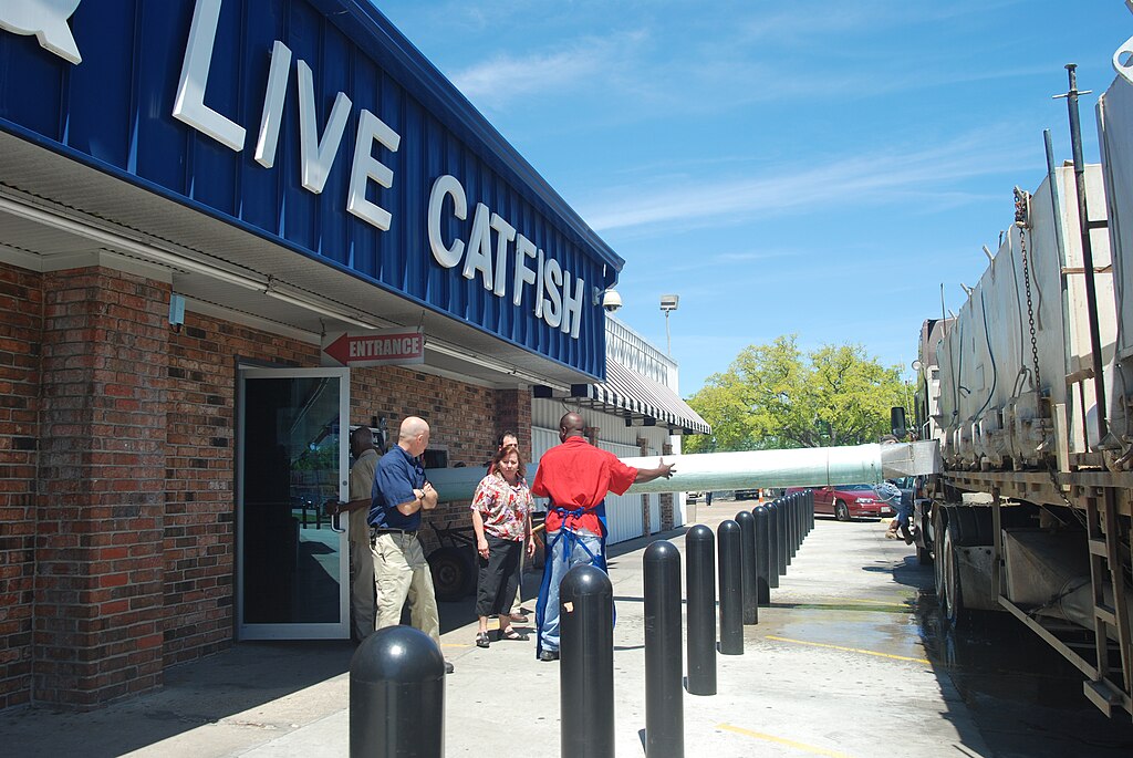 Three people stand outside a building labeled "Live Catfish" near a tank truck. One man operates a large hose. Bright, sunny day with a clear sky.