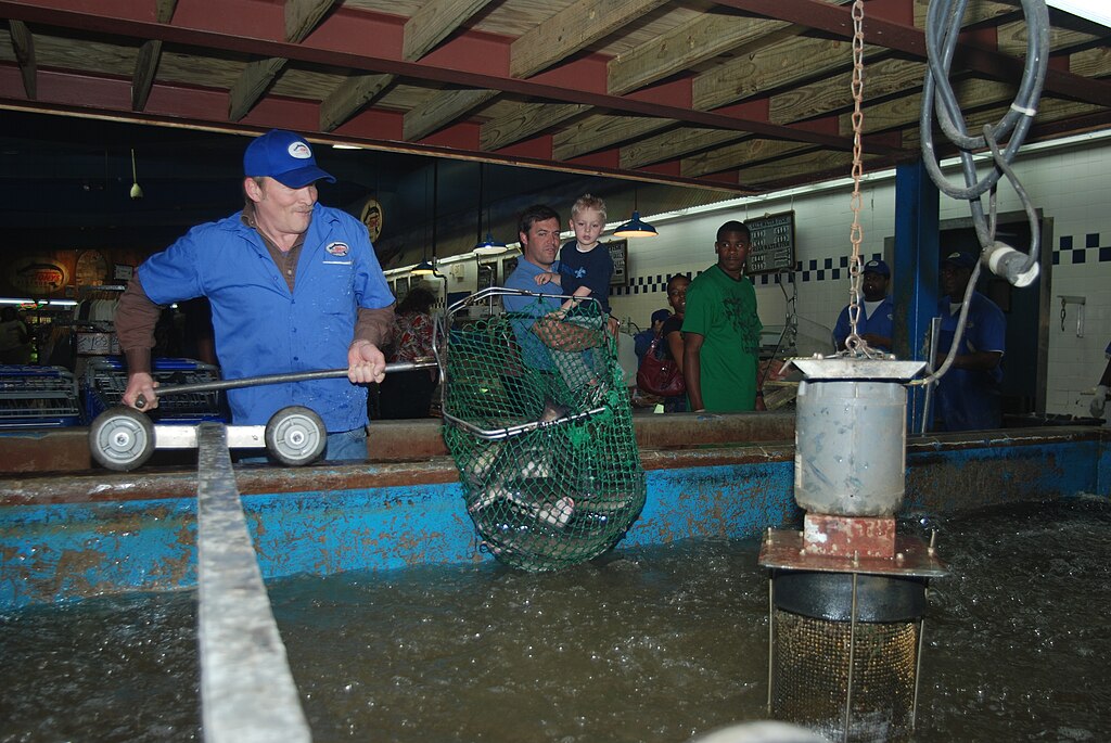 Workers in blue uniforms handle a large metal basket at a seafood market, showcasing fresh catches. People watch nearby with interest, creating an engaging scene.