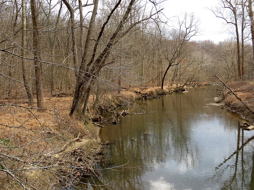 Serene winter scene of a calm river winding through a forest of bare trees. The overcast sky reflects in the water, evoking a tranquil, quiet mood.