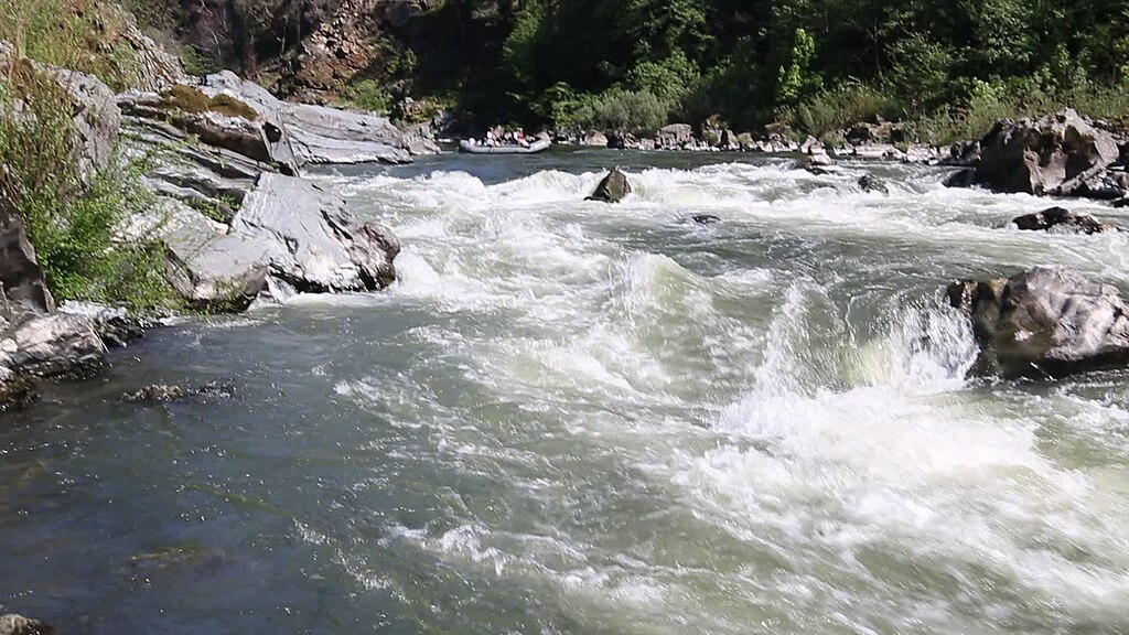 River rapids flowing over jagged rocks surrounded by lush greenery. The water appears turbulent and fast-moving, creating a dynamic, lively scene.