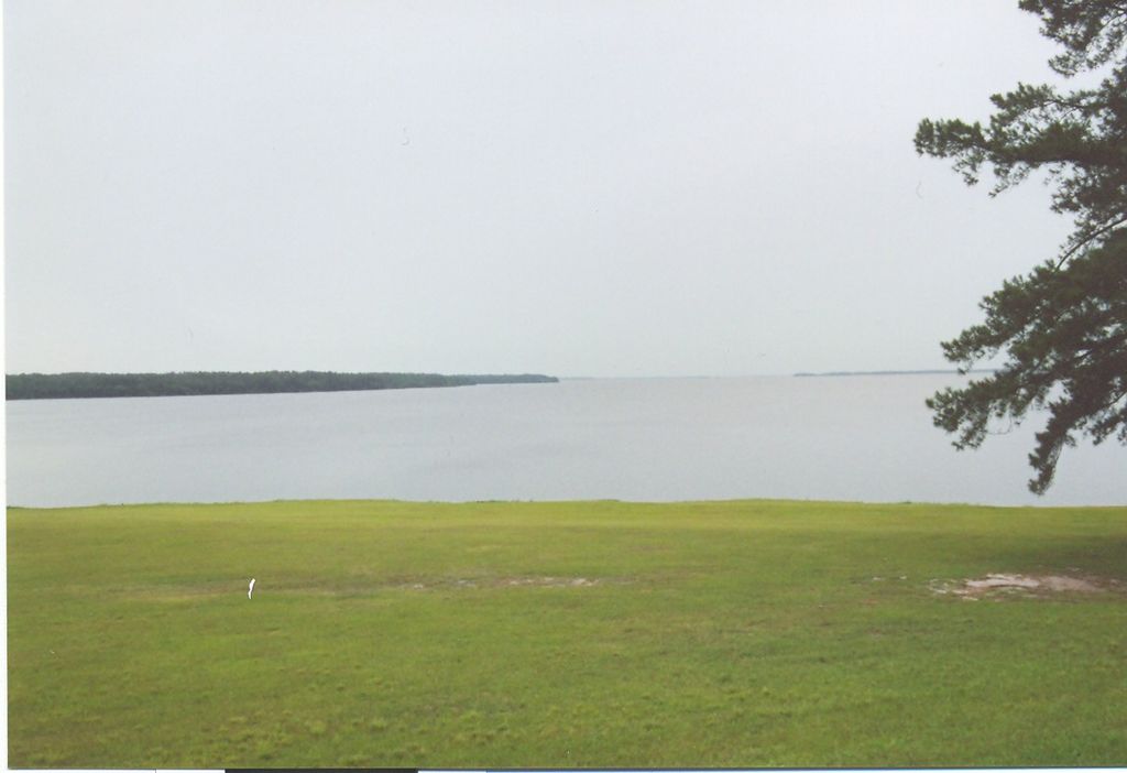 Calm lakeside scene with a wide expanse of grass in the foreground, a serene body of water in the middle, and a pine tree on the right. Overcast sky.