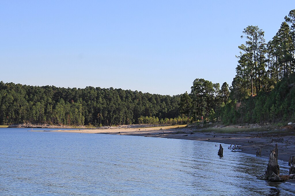 A serene lakeside scene with calm blue water, surrounded by dense green forests under a clear blue sky. The tranquil atmosphere is peaceful and natural.