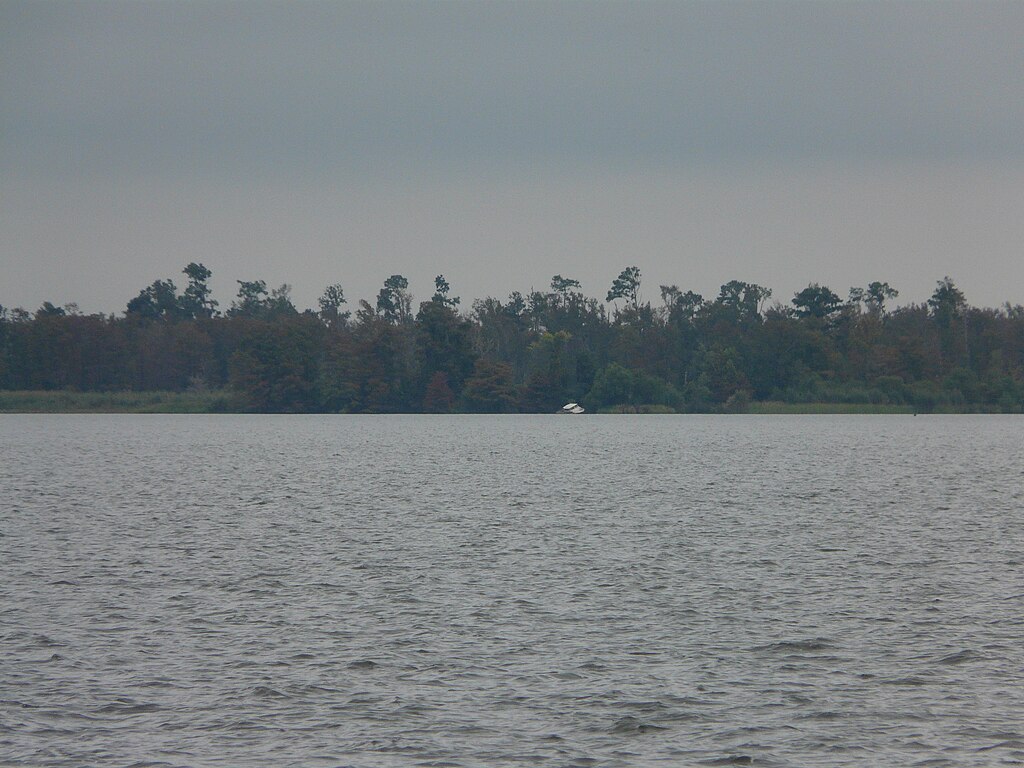 Calm river with gentle ripples in the foreground, bordered by a dense, dark forest under an overcast sky. A small white boat is visible near the shore.