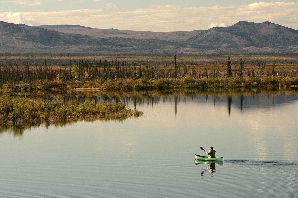 Solo canoenist paddling