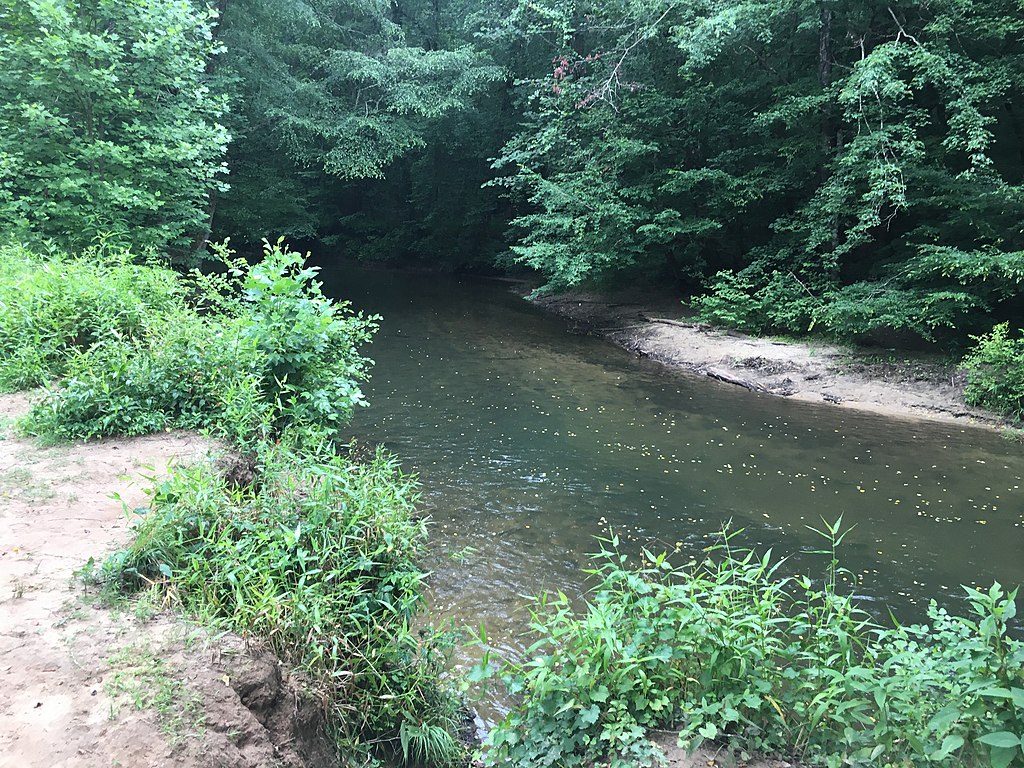 A tranquil, narrow stream flows through lush, green forest. The greenery is dense and vibrant, with sunlight softly illuminating the foliage.