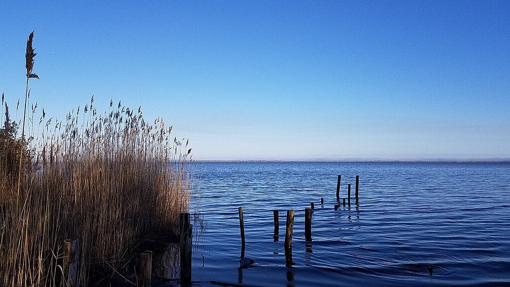 Calm lake scene with tall reeds on the left and wooden posts leading into the water. The clear blue sky and serene water create a tranquil atmosphere.