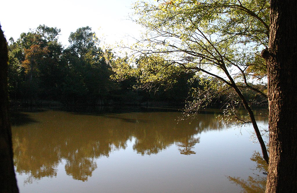 A serene pond with still, reflective water is bordered by lush trees under a clear sky. The scene conveys tranquility and natural beauty.