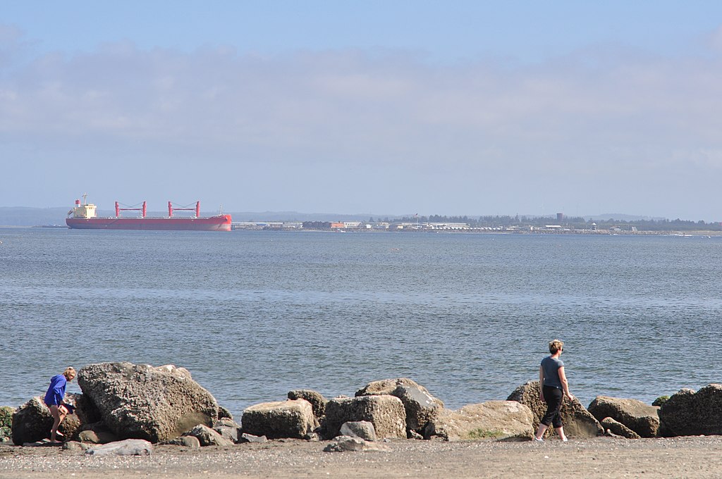 A person walks on a rocky beach under a clear sky. A red cargo ship sails on calm water in the background. The scene conveys tranquility.
