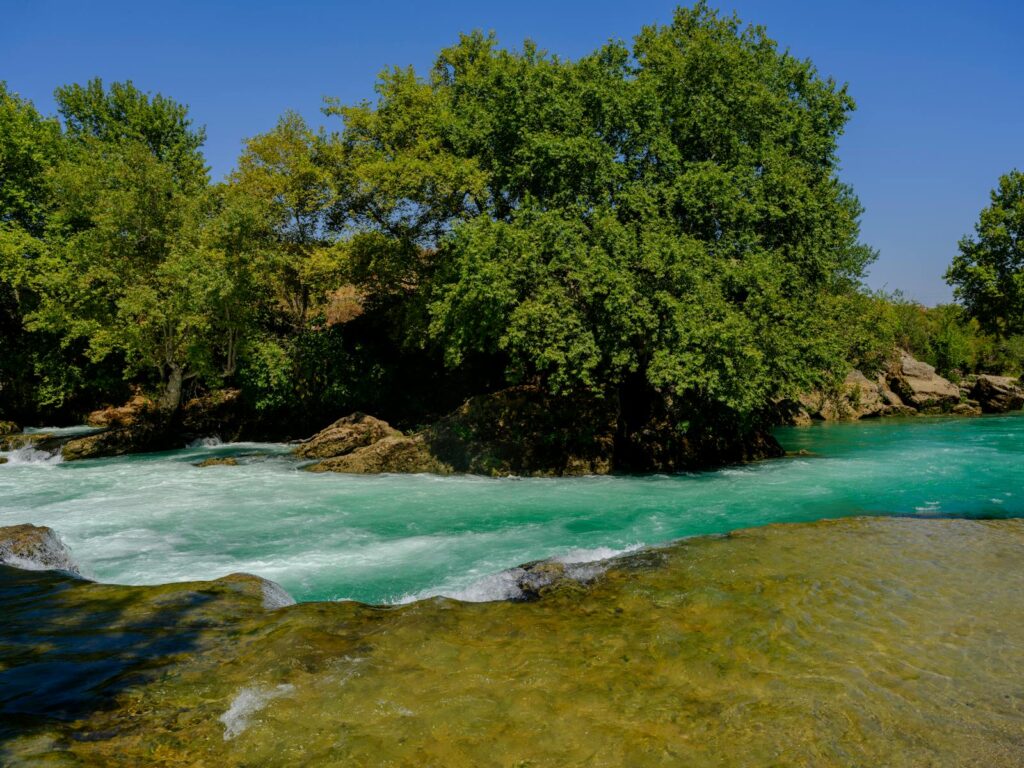 Look for Oxygen-Rich Areas