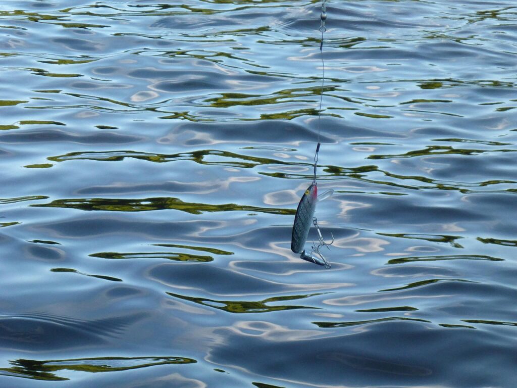 Fish bait.