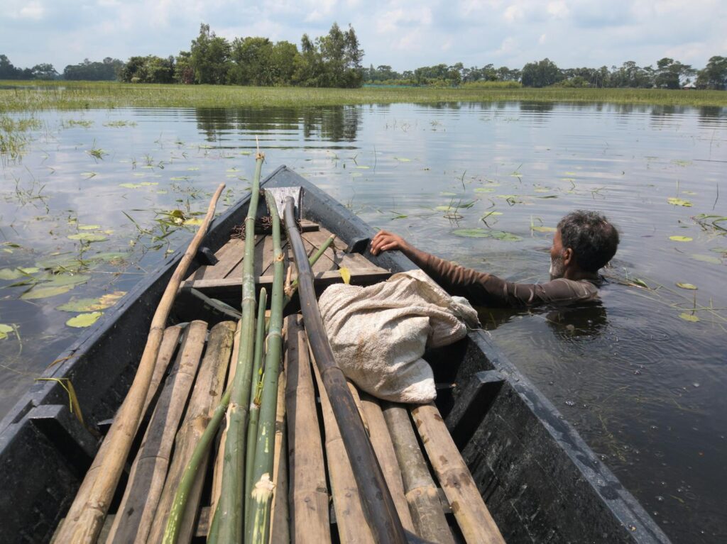 Timing Your Fishing During Flood Cycles