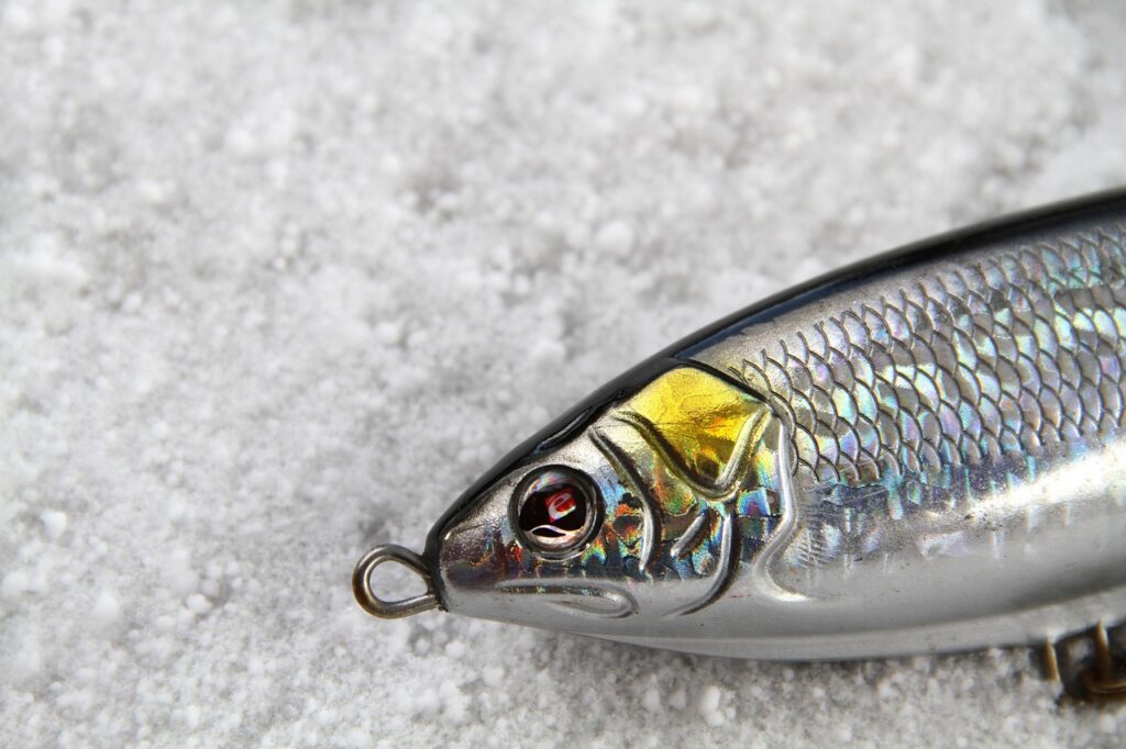 fishing, lure, natural, jerkbait, sebile, eye, nature, snow, kemionsaari, finland, gray fish, gray fishing