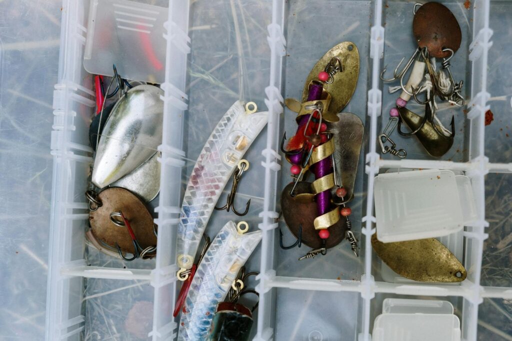 Lure and Bait Selection for Murky Waters