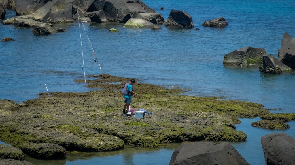 Understanding What Makes Inlets and Jetties Productive