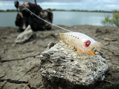 RA Pop. Great topwater lure ever.
