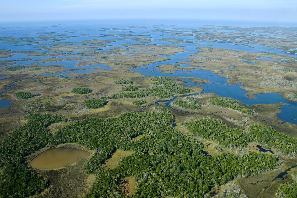 Aerial view of an expansive wetland landscape with scattered patches of greenery, numerous blue water bodies, and a serene, natural atmosphere.