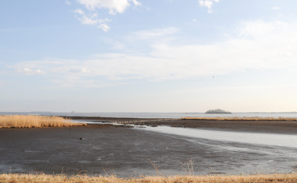 Wide coastal scene with dry grass in the foreground, barren mudflats, and sparse water channels. Tranquil sky with soft clouds, conveying serenity.