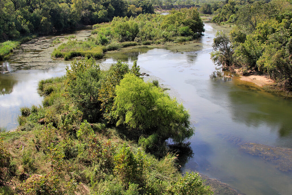 River scene surrounded by lush green trees and shrubs under a sunny sky. Water reflects the greenery, conveying a peaceful, natural ambiance.