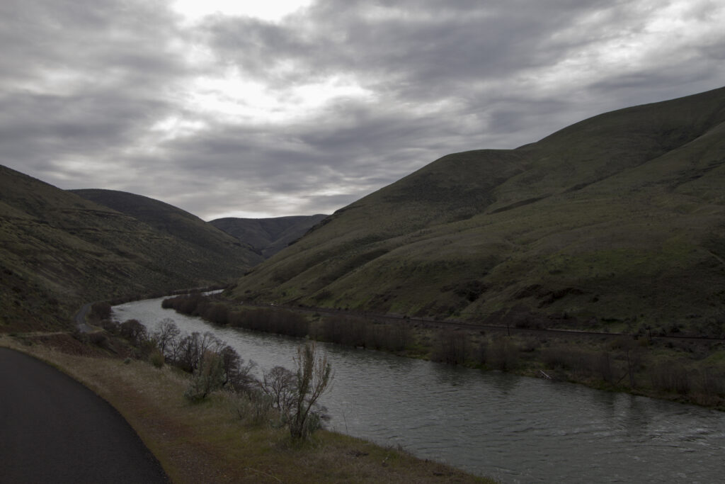 A serene river curves between rolling green hills under an overcast sky. Sparse trees line the riverbank, creating a peaceful and moody atmosphere.