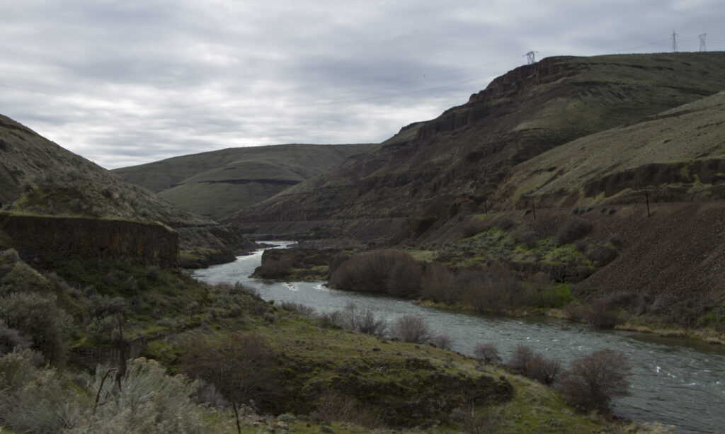 River winds between grassy, rugged hills under a cloudy sky. Sparse vegetation and power lines dot the landscape, conveying isolation and tranquility.