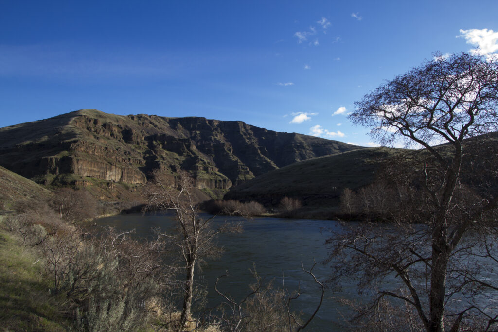 A serene landscape with a winding river in the foreground, flanked by leafless trees. Rolling hills rise under a vibrant blue sky, evoking calmness.