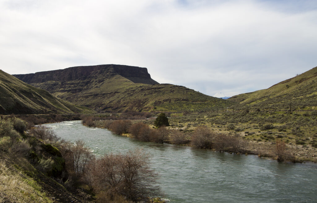 A serene river winds through a canyon with rolling green hills, dry shrubs, and distant snow-capped mountains under a cloudy sky. Peaceful and expansive.