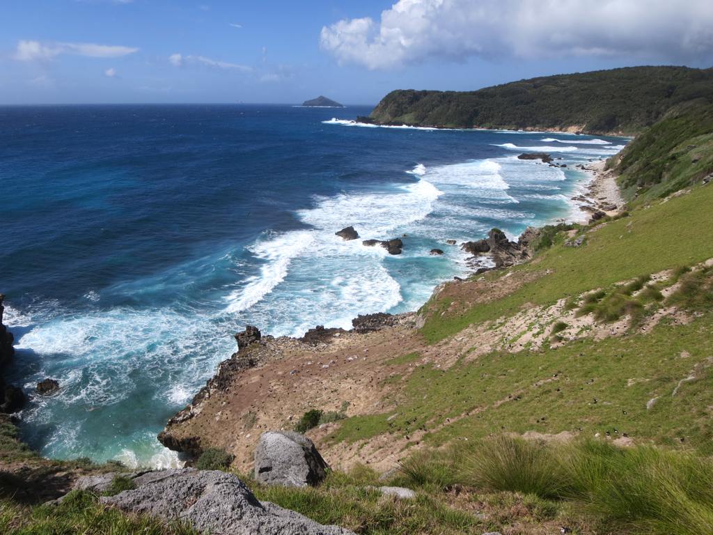 Coastal landscape with rolling waves crashing against a rocky shore. Verdant cliffs overlook the ocean under a partly cloudy, blue sky.