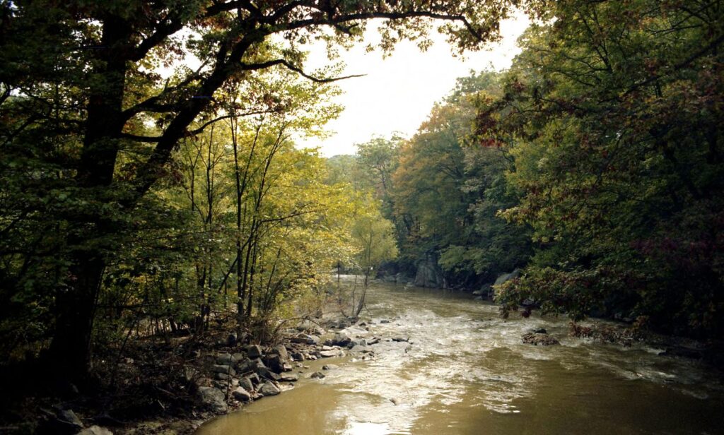 A tranquil river winds through a lush forest with trees in fall colors, casting dappled light on the water. The scene feels serene and peaceful.