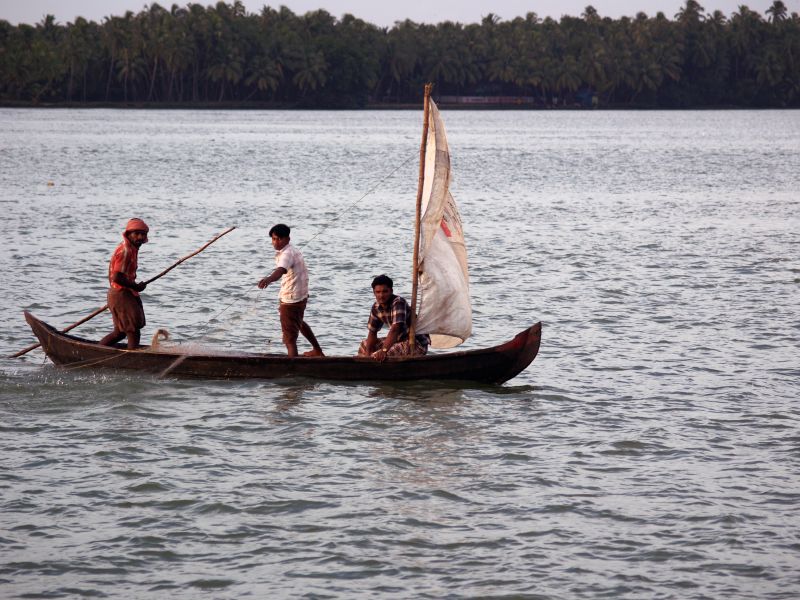 Three men navigate a small wooden sailboat on a calm river, using paddles for propulsion. A dense line of trees forms the background under a gray sky.