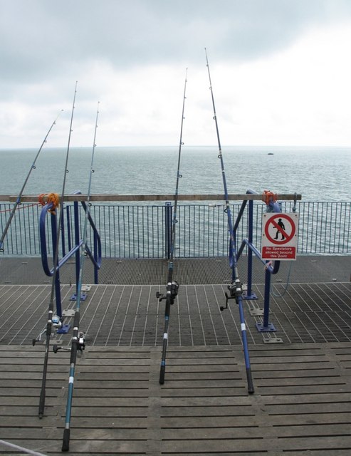 Four fishing rods are secured on a pier, overlooking a calm, cloudy sea. A sign prohibits casting. The scene has a peaceful, contemplative mood.