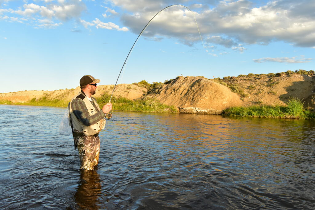 A man in camouflage waders fly-fishing in a river under a clear, sunny sky. He is holding a bent fishing rod, indicating a catch, with grassy banks in the background.