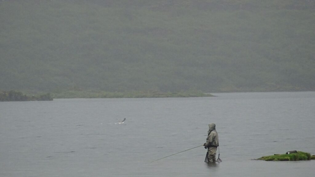 A person in waterproof gear stands fishing in a misty lake, holding a rod. A bird splashes in the water under a gray sky, creating a serene mood.