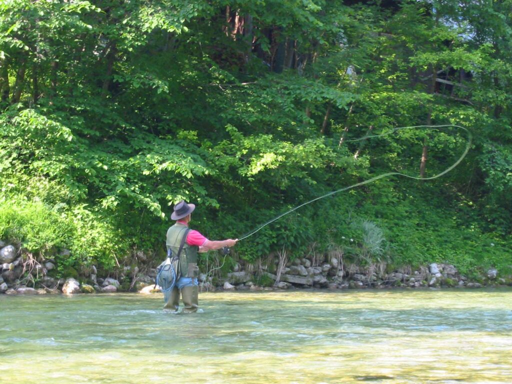 A person fly-fishing stands in a clear, shallow river, surrounded by lush green foliage. They cast their line, creating graceful loops in the air.