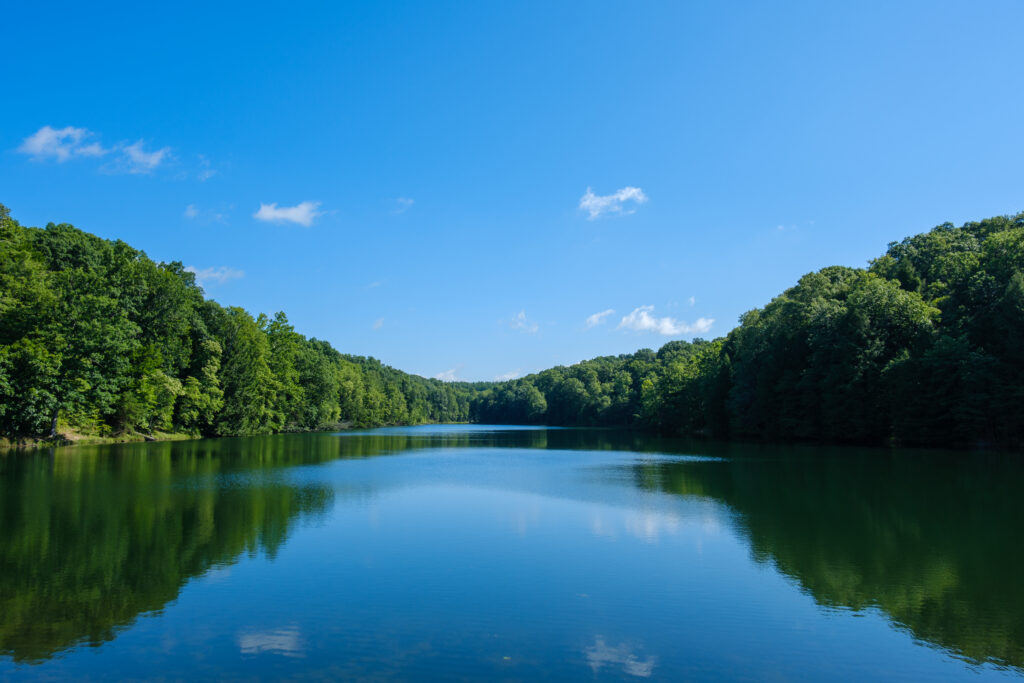 Serene lake bordered by lush green trees under a clear blue sky, with fluffy white clouds. Calm, peaceful landscape reflecting on the water.