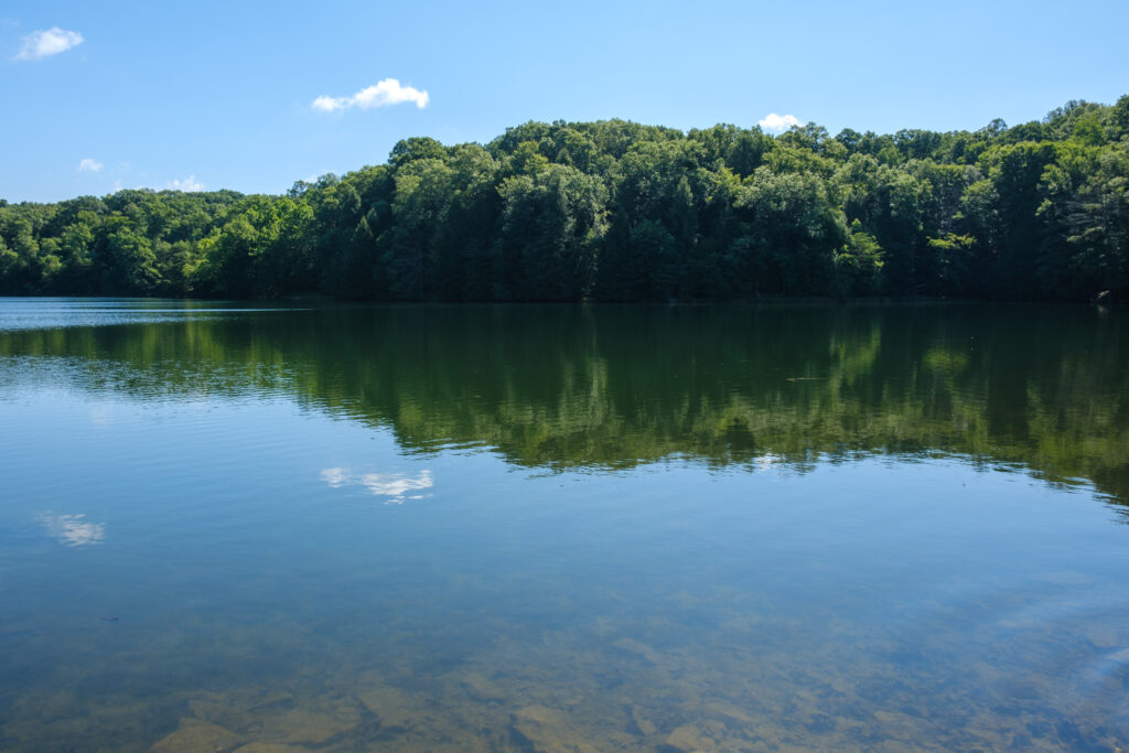 Calm lake reflecting a dense forest under a clear blue sky with few clouds. The serene scene conveys tranquility and natural beauty.