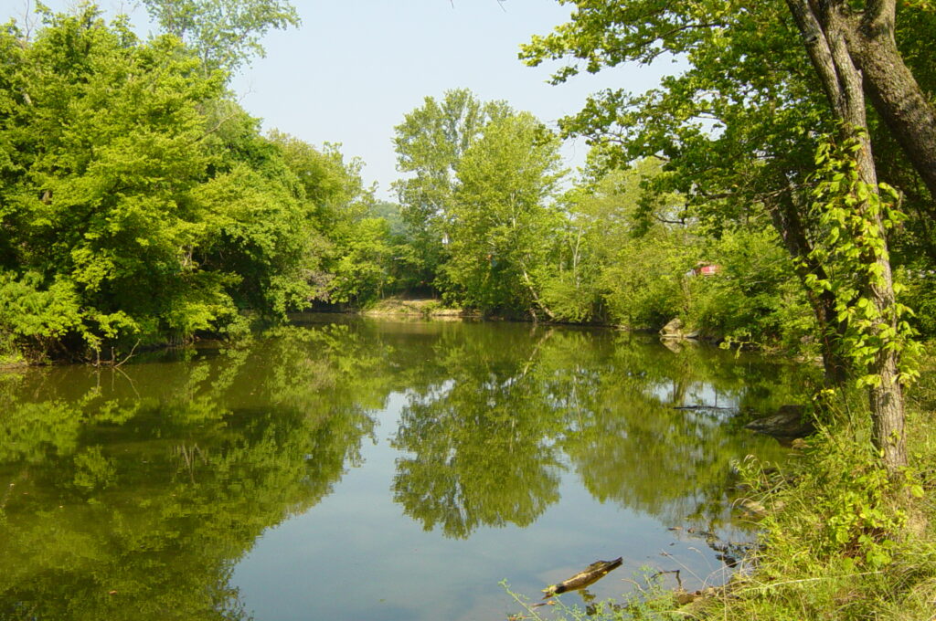 Serene river scene with lush green trees reflected in calm water, framed by a clear blue sky. Tranquil and peaceful atmosphere.
