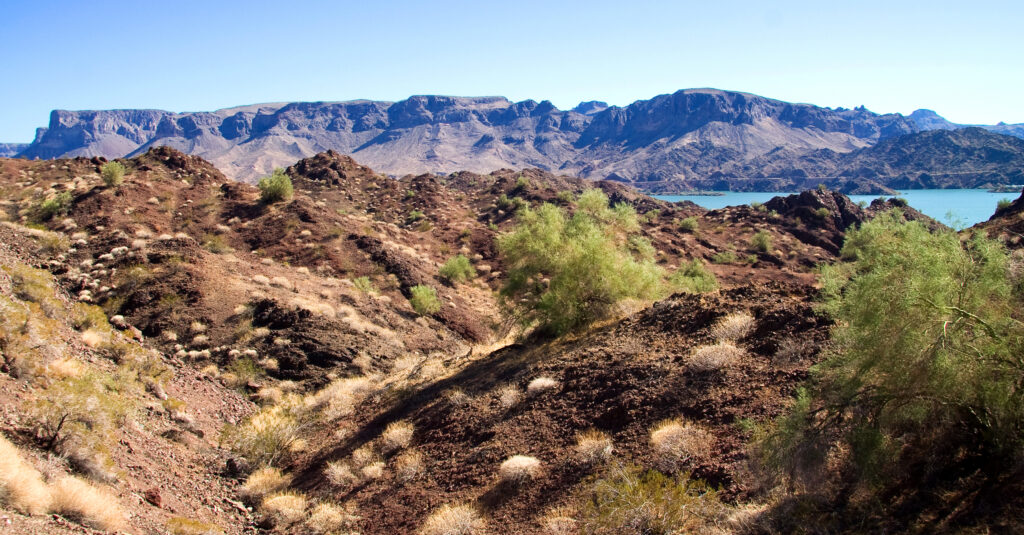 Rocky desert landscape with sparse greenery, leading to a calm, blue lake. Rugged mountains in the background under a clear sky convey tranquility.