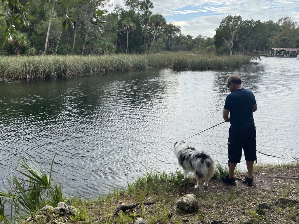 A person in dark clothing stands by a riverside holding a fishing pole, next to a white and black dog. Trees and reeds line the opposite bank under a partly cloudy sky.