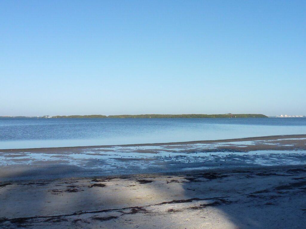 Calm coastal scene with sandy beach in foreground, shallow water and small waves. Horizon shows a low, green island under a clear blue sky.