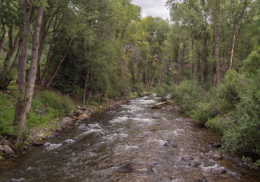 A tranquil forest scene with a gently flowing river surrounded by lush green trees and rocks, evoking a peaceful, serene atmosphere.