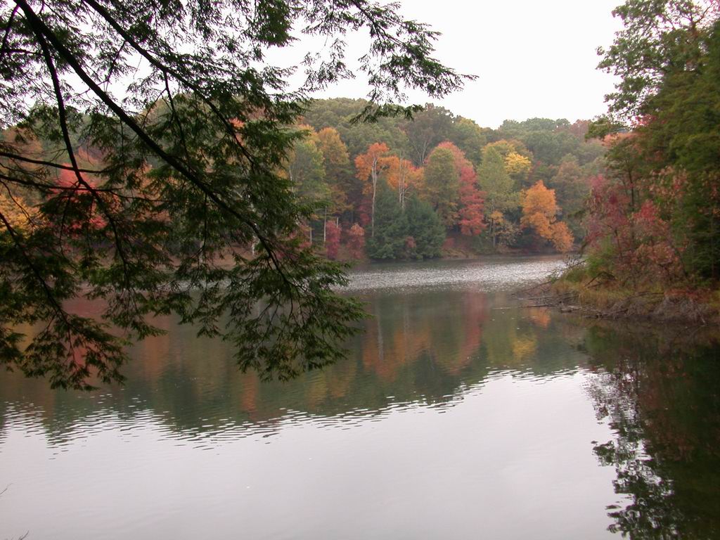 Calm lake reflecting vibrant autumn foliage in shades of red, orange, and yellow. Tree branches frame the serene scene, conveying tranquility.