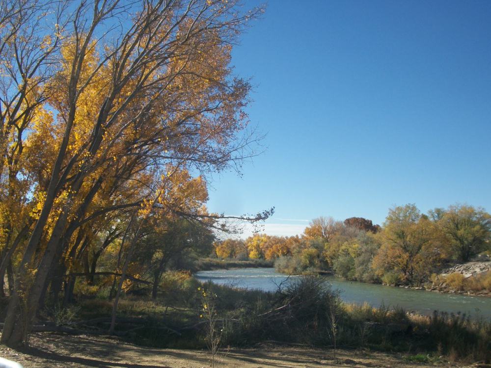 A serene river scene with trees in autumn foliage, showcasing bright yellow and orange leaves against a clear blue sky, evoking tranquility.